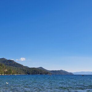 Meet your Posher, Fatima